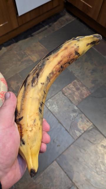 A plantain fruit