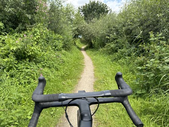 Gravelbike auf Singletrail