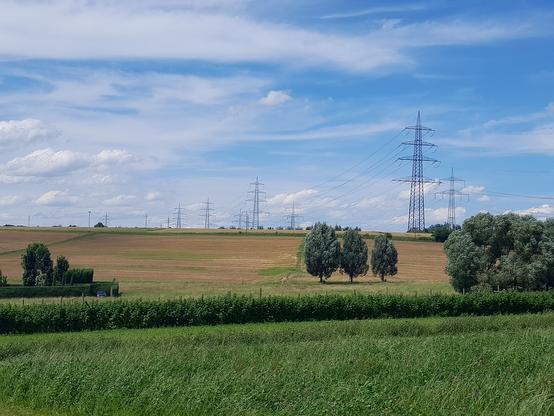 Foto einer Landschaft, Felder mit drei Bäumen und Stromtrassen mit Strommasten.