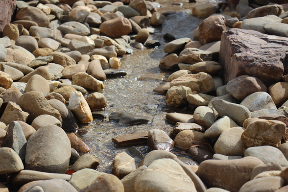 A close-up image of a variety of rounded stones in different shades of brown and beige, with a shallow stream of water flowing over and in the middle of it all
