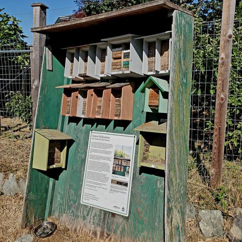 Bee condos at Welland Community Orchard Legacy Heritage Park.