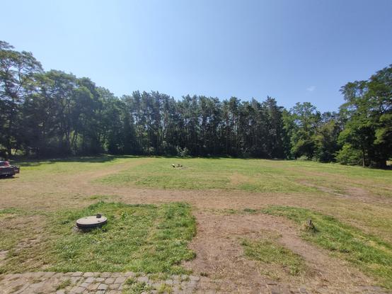 Ein Weitwinkel-Foto vom leeren Zeltplatz des Hacken Open Air. Es sind noch die Wege des Zeltplatzes zu erkennen.