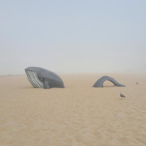 Photograph of Ocean City's beach with a whale figure in the sand. The beach is hard to visualize due to the excessive fog.