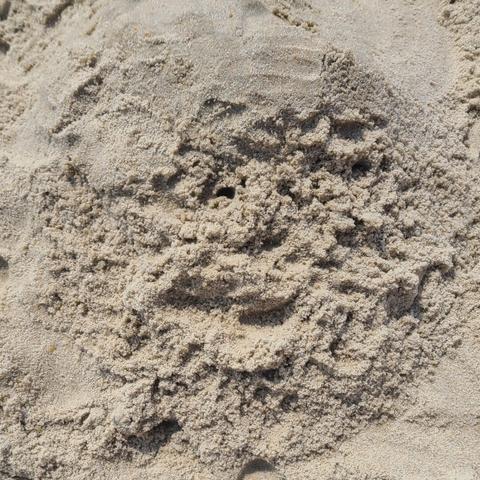 Photograph of sand art. It is round and elevated looking vaguely like a face in the middle that is kind of smiling. It's cute.