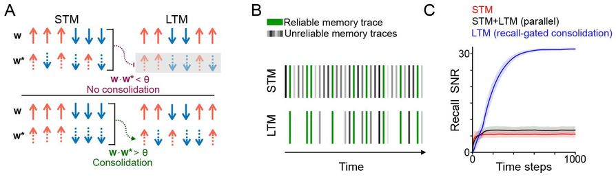 Figure 2 with 3 panels, showing visually how short-term memory (STM) contributes to long-term memory (LTM) in a systems consolidation model.