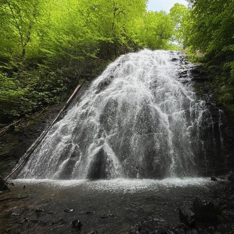Crabtree Falls in North Carolina. Bright white rivulets of water cascade down a wide, rough, dark rock slope, crashing into a pool at the bottom. Trees surrounding the upper portion gleam bright green in the even light.