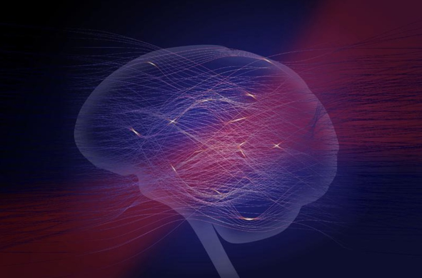 A brain with optical waveguides, symbolizing optical neuromorphic devices.