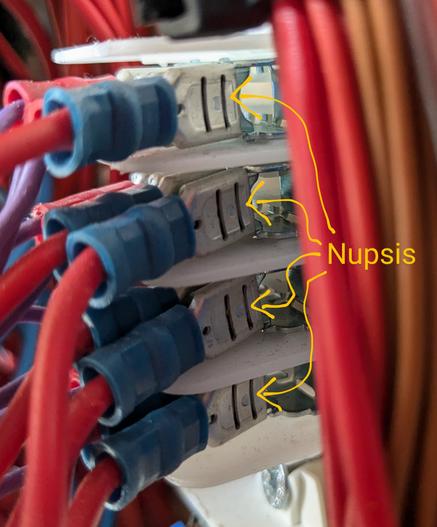 Foto von der anderen Seite, mit Kabeln mit Flachstecker-Schuhen, die auf die Zungen gesteckt wurden. Die Basis der Stecker hat ein kleines herausgestanztes "Nupsi", das in das Loch der Zunge drückt.