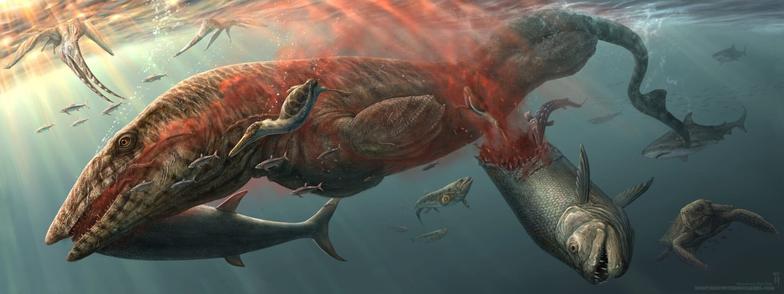 graphic - reconstruction of an example of a New Zealand marine reptiles as seen in the fossil record