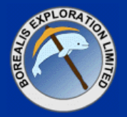 Screenshot of the Borealis Exploration Limited logo, which has the company name in a black text in a white circle around an illustration of a beluga holding a miner's axe.