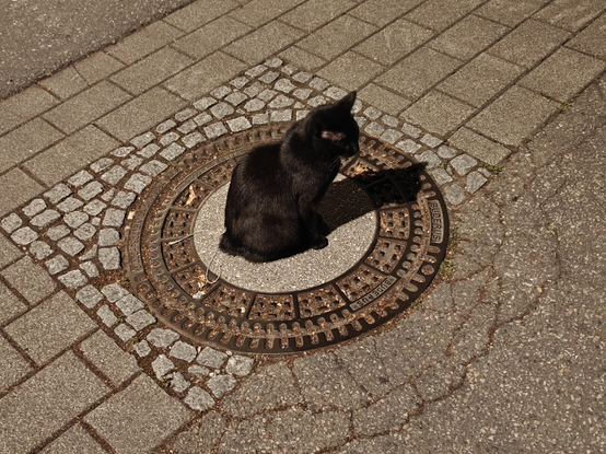 Black cat May sits on the street in the middle of a big round sewer cover. The street consists partly of pavement and concrete. May sits and looks to the right. Her shadow cast from a street light shows a perfect cat silhouette.