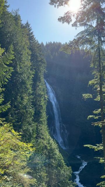 Video of a large upper falls with smaller lower falls. Sun glare in the upper right with green forest surrounding the falls.