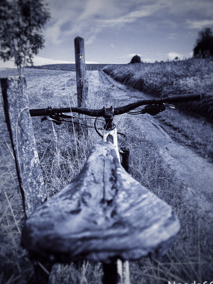 Schwarz und Weiss Foto. Im Vordergrund Mountainbike Sattel vom Bike, der in Richtung ein Feldwegs der bergauf führt zeigt.