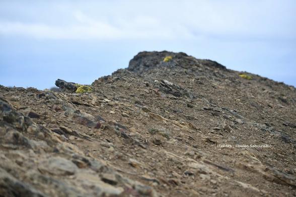 Le mont Tarn culmine à 872 mètres. Placé non loin de Punats Arenas au Chili, il est le point le plus méridional. Le point de vue offre la découverte des Îles Dawson, du détroit de Magellan.