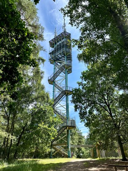 Käflingsbergturm zwischen Laubbäumen