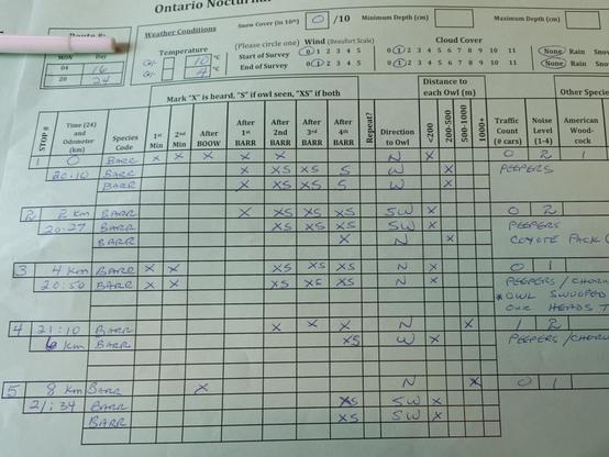 Image of a central Ontario Nocturnal Owl Survey showing data from the first 5 stops.  This data included 13 Barred Owls in total some listed as heard and other seen. Most were up close and near the surveyors.