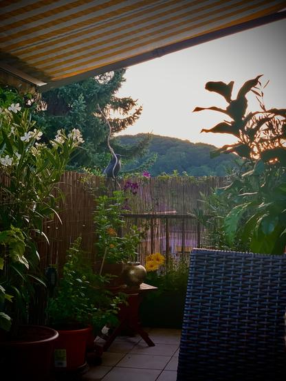 A cozy patio with various potted plants, a wicker chair in the foreground, and a striped awning overhead. In the background, there is a bamboo fence and tree-covered hills under a setting or rising sun.