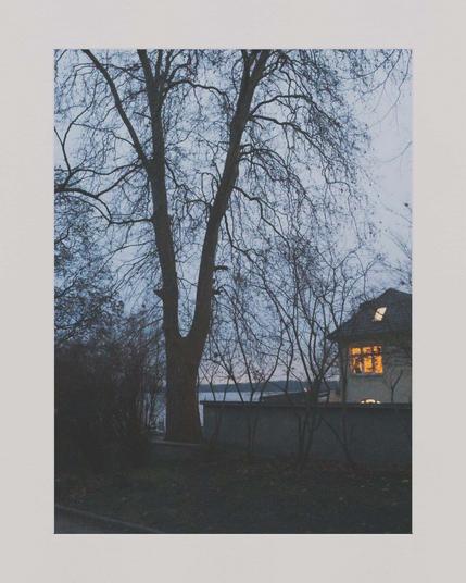 Winter mood. In the centre of the photo there is a big tree, a smaller one to its left. They have no leaves. A wall reaches from the right border almost to the tree. Behind it parts of a house are visible. While there is hardly any day light outside, the inside of the house is lit by bright yellow light. In the background, there is a lake.