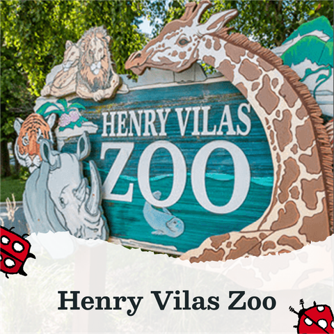 Text that reads Henry Vilas Zoo, next to two spotted red beetle illustrations. The text is layered on an image of the Henry Vilas Zoo sign with wooden carvings of a  giraffe, rhino, lion, and tiger surrounding the sign.