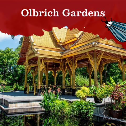 Text that reads Olbrich Gardens, next to a striped blue moth illustration. The text is layered on an image of an ornate gold, Thai pavilion on a lake.