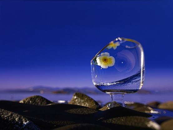 Extreme close up of tiny white and yellow flower inside a clear glass container, on a pebbled surface, at twilight, with a blurred background of a calm lake.