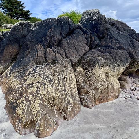 Large, weathered rocks on a sandy beach with patches of lichen. Vegetation and trees are visible in the background.