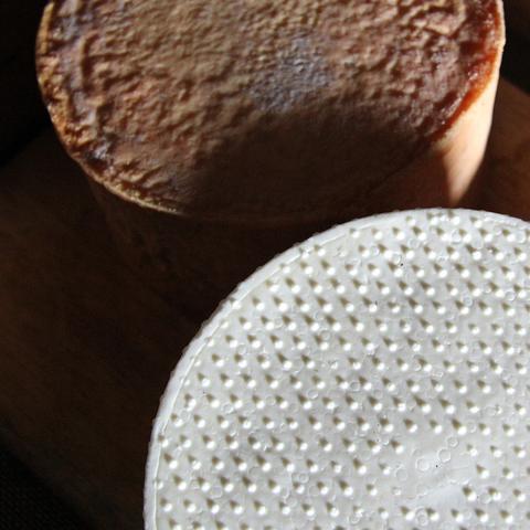 Two round cheeses on a wooden board. The fresh one is white with the surface mirroring the mold's drainholes, the ripe one a light orange-brown with a wrinkled surface and visibly shrunk.

Zwei runde Käselaibe auf einem Holzbrett. Der frische Käse ist weiß mit einer Oberfläche, die die Abflusslöcher der Käseform widerspiegelt, der reife Käse ist hell orange-braun mit einer faltigen Oberfläche und sichtbar geschrumpft.