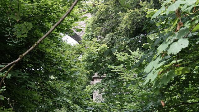 An old stone viaduct peeking out behind masses of green leafy trees