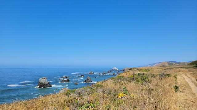 Coastal walk on California coast