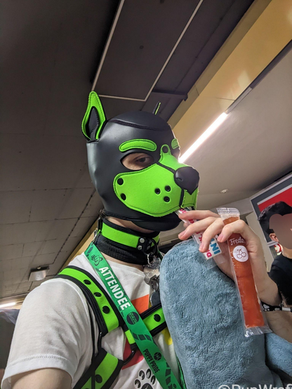 Grüner pup ist Wassereis länglich, noch ein zweites in der Hand und blahaj dabei