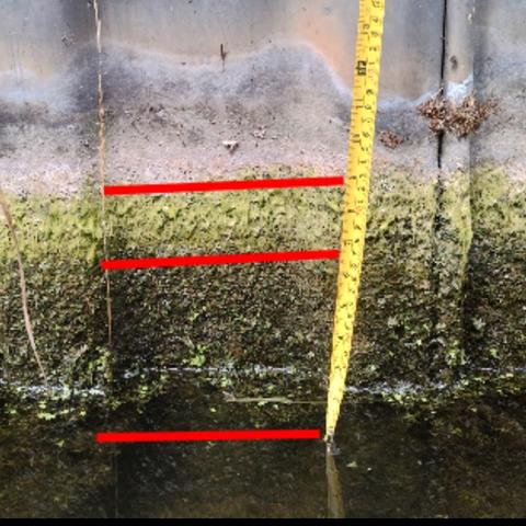 A photo of trench sheeting or piling at the canal bank has aquatic vegetation growing on it. The photo is annotated with horizontal lines, where the vegetation changes. The lines indicate the high water level, and usual water level. The third line is the current water level.

The three lines show:
• light green algae: high level.
• dark green algae: usual level.
• current water level.