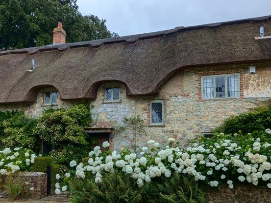 thatched cottage in high summer time, at the village of Amberley, West Sussex, England. July 2024.