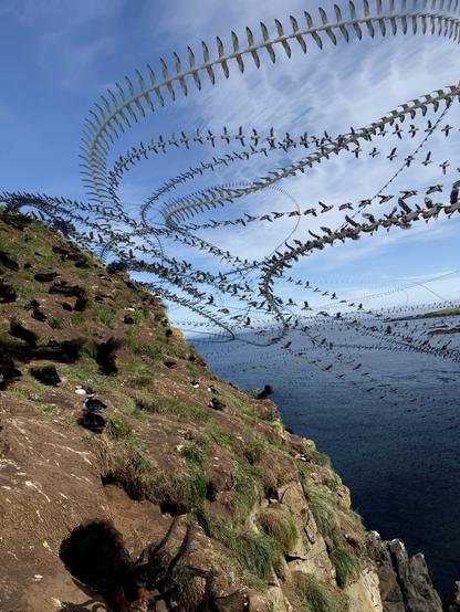 Experimental photo of bird flight. The camera takes many photos and using the multiply layer process creates a composite of the path the birds took to their destination.