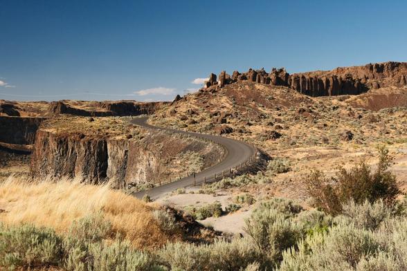 A photo of a road winding through Frenchman Coulee. In the foreground there are shrubs and dry grasses. To the left of the road are tall cliffs dropping to the valley below. To the right of the road is a hill with a set of basalt spires named The Feathers rising up from it.