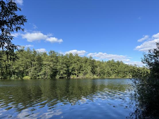 Wakenitz, Blick Nähe Müggenbusch auf Ostufer (ehemals Zonengrenze), blauer Himmel, Wattewölkchen, Sommerstimmung