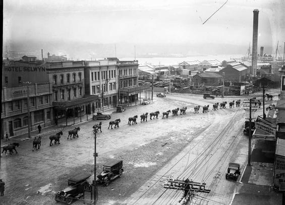 Black-and-white photo: Procession of Clydesdale horses on Cambridge Terrace, Wellington. 1920s. Description: Shows a procession of Clydesdale horses on Cambridge Terrace, Wellington, in the 1920s. The hotel Selwyn is on the left, the Wellington Council’s works depot can be seen in the background and the tall chimney, straight ahead, was known as the Destructor. Historical note: This part of Cambridge Terrace was known as Clyde Quay until 1925. The Council’s works depot was on the site now occupied by the New World Supermarket. The tall chimney known as the Destructor, signifies the site of the council furnaces where rubbish was burned. Citation: New Zealand Free Lance: Photographic prints and negatives. Ref: 1/2-099996-G. Alexander Turnbull Library, Wellington, New Zealand. https://natlib.govt.nz/records/23167141
