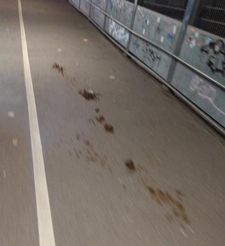 vollgeschissener Gehweg