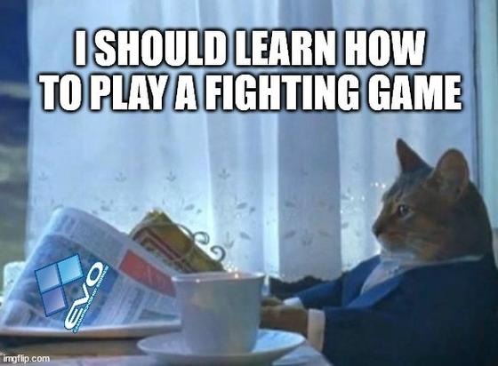 cat in suit reading newspaper. Text says "I should learn how to play a fighting game."