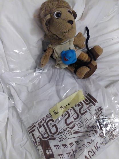 Plushie TeX Lion holding his blue mini rubber duck, sitting on a bed next to the folded TUG2024 conference tshirt. It's wrapped in plastic having a label “For Marei”.