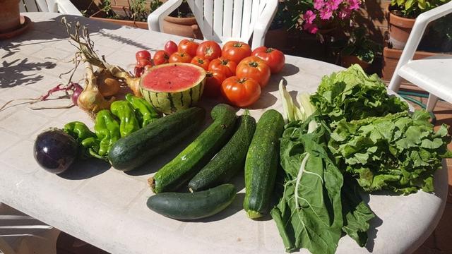 Contenido de la cesta de la semana sobre una mesa de resina blanca.
Hay acelgas, lechugas, calabacines, pimientos, una berenjena, cebollas, media sandía y un puñado de tomates.
Detrás se aprecian sillas y flores fucsia en una maceta.