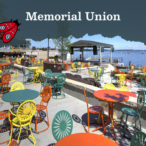 Text that reads Memorial Union, next to a red beetle illustration. The text is layered on an image of an outdoor seating space near the water with orange, yellow, and teal chairs and tables.