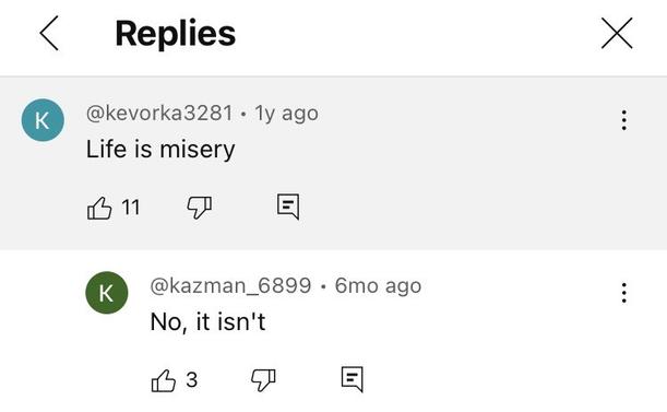 A screenshot of a YouTube video comment section. The top reply says, “Life is misery.” The sole reply says simply, “No, it isn’t.”