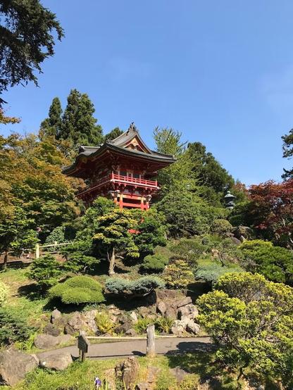 Japanese-Tea-Garden-un-magnifique-jardin-japonais-dans-le-Golden-Gate-Park-san-francisco-1