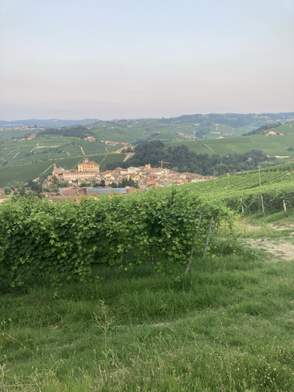 Uitzicht op Barolo vanuit de wijngaarden