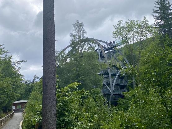 Baumkronen-Gehwegstruktur inmitten von üppigem Grün und einem bewölkten Himmel, mit einem Holzweg, der zu einer kleinen Hütte unten links führt.