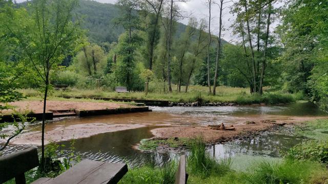 Die Wieslauter durchquert das Bild von links unten nach rechts oben. In dem Flüsschen sind Sandbänke zu sehen. Auf einer Sandbank wurden mehrere Sandburgen gebaut. Am rechten Ufer steht im Vordergrund ein Holztisch mit Satzbänken. Am linken Ufer erkennt man eine Treppe, die zum Wasser führt. Im Hintergrund sieht man auf einer Wiese eine Liege aus Holz.