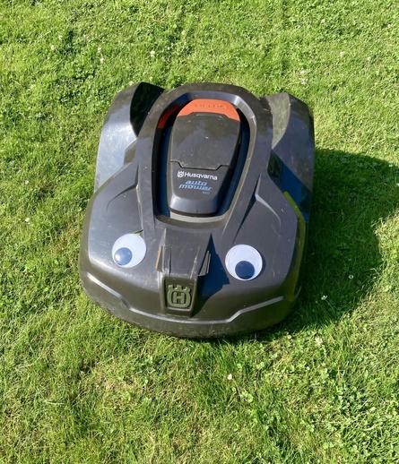 Rasenmähroboter mit aufgeklebten großen Wackelaugen, auf Gras fahrend.