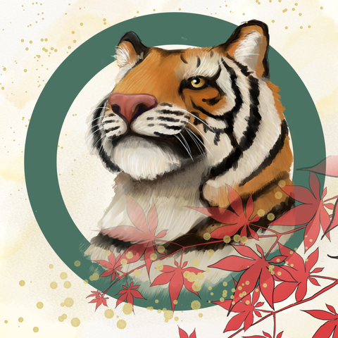 Tiger looking up