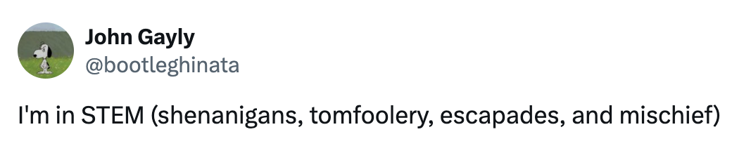 Screenshot of a social post by '@bootleghinata' on the social platform 'X' that says: 'I'm in STEM (shenanigans, tomfoolery, escapades, and mischief)'