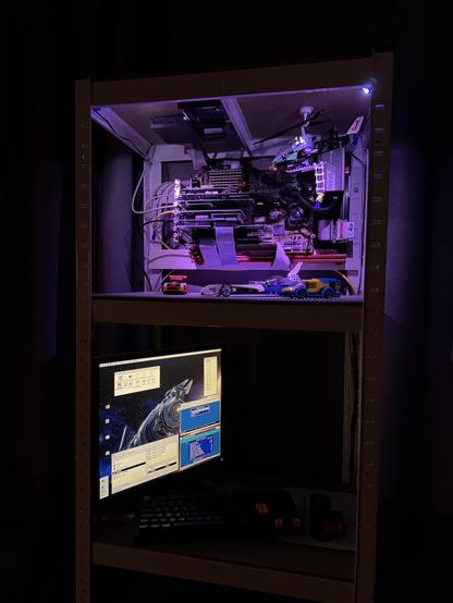 New "rack", cheap storage shelf from Clas Ohlson.. Top shelf with server mounted on an open frame hanging from the back wall; shelf below with display, keyboard and mouse.